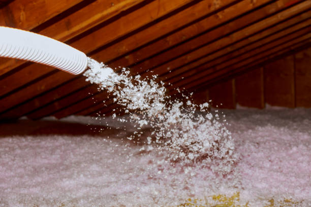 Types of Insulation We Offer in Iyanbito, NM