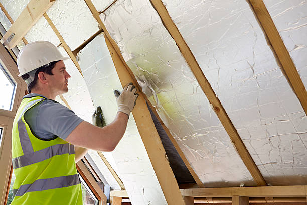 Best Cellulose Insulation in Iyanbito, NM
